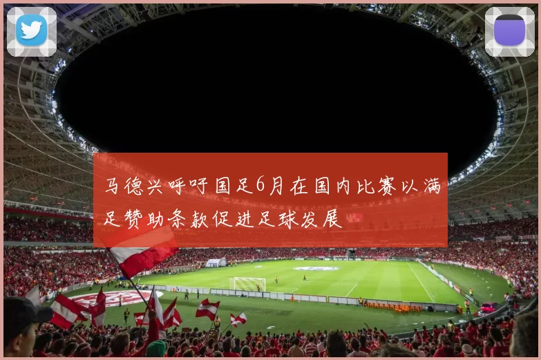 马德兴呼吁国足6月在国内比赛以满足赞助条款促进足球发展